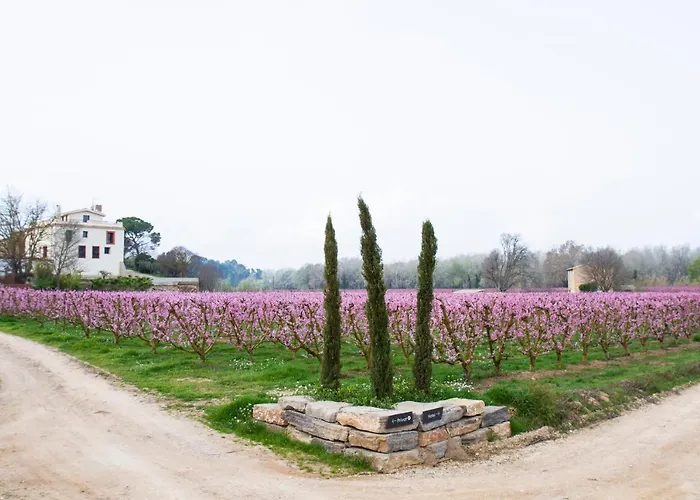 Hotel Rural Mas de l\'Illa