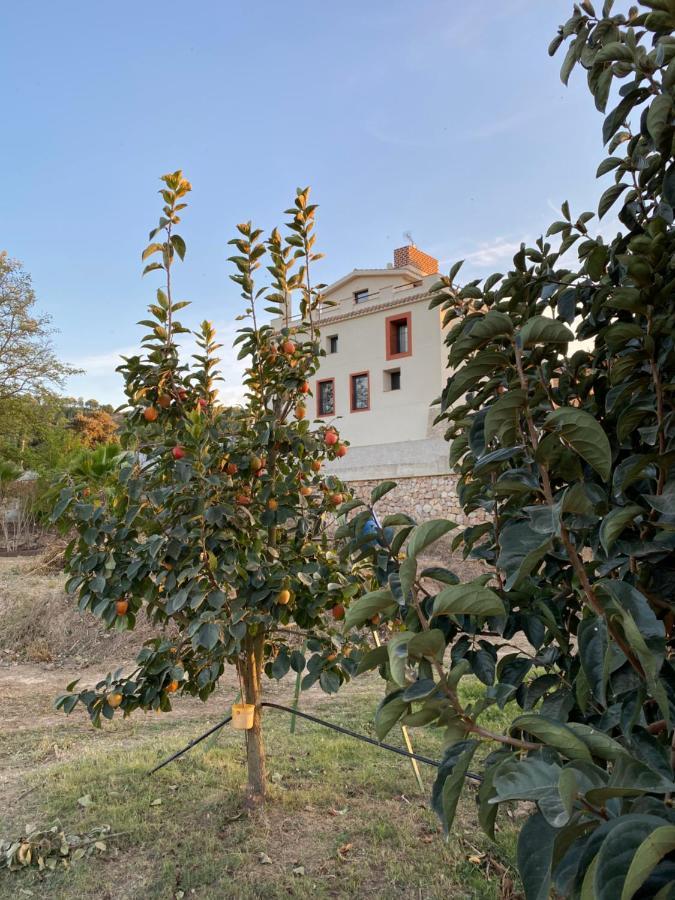 Rural Mas De L'illa Hotel Tivissa